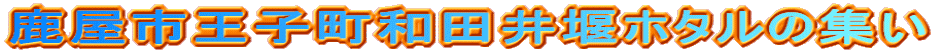 �����s���q���a�c�䉁�z�^���̏W��