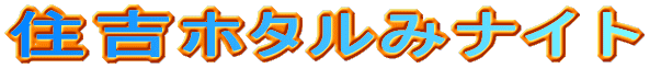 �Z�g�z�^���݃i�C�g 